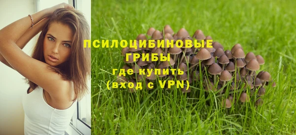прущие крисы Армянск