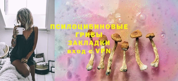 крисы Аркадак